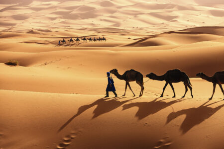 Morocco Travel Service