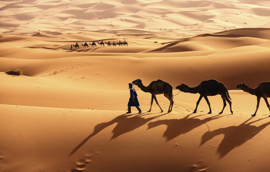 Zagora & Draa Valley  2 days trip from Marrakech