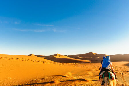 Morocco Travel Service