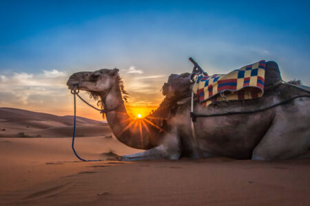 Morocco Travel Service