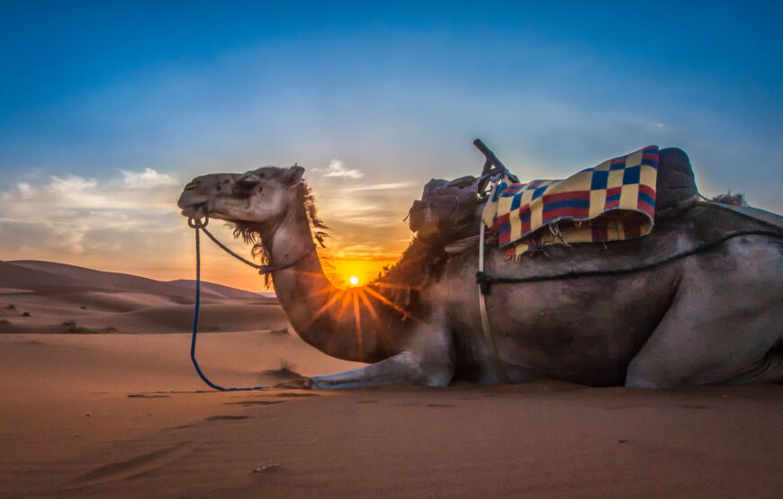 3 Days  Atlantic coast  Anti Atlas Valleys  & Palm groves