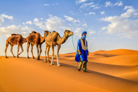 Morocco Travel Service