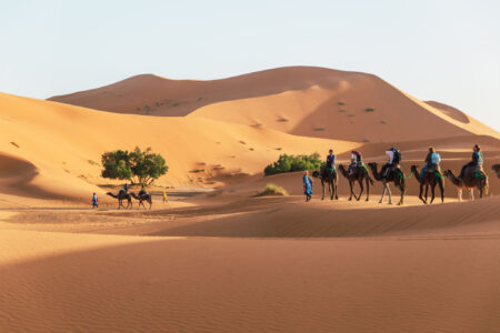Morocco Travel Service
