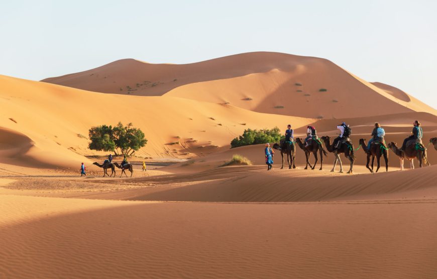 3 Days Fez Desert Tours to Marrakech