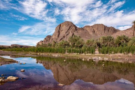 Morocco Travel Service