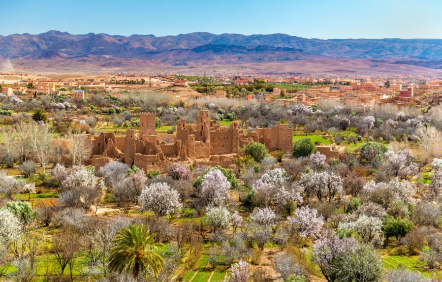 7 Days Combined Toubkal Summit and DesertTours From Marrakech