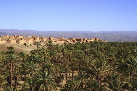 Morocco Travel Service
