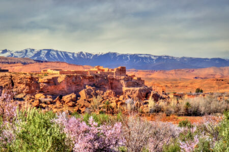 Morocco Travel Service