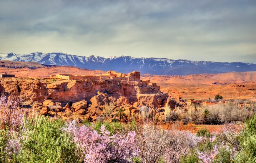 8 Days Morocco Anti Atlas and Desert Tours From Agadir