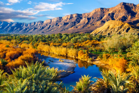 Morocco Travel Service