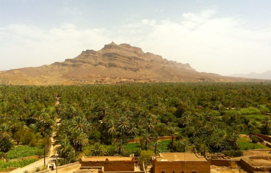 Zagora & Draa Valley Day Trip