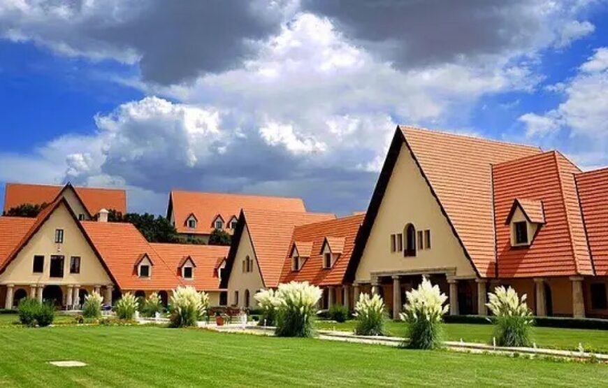 Day Trip from Fes to Ifrane & Cedar Forest