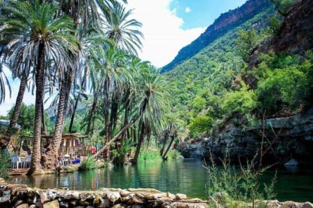 Morocco Travel Service