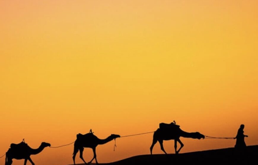 3 Days Desert Tours from Fes to Marrakech