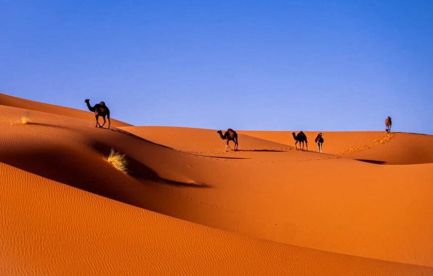 3 Days Fez Desert Tours to Merzouga