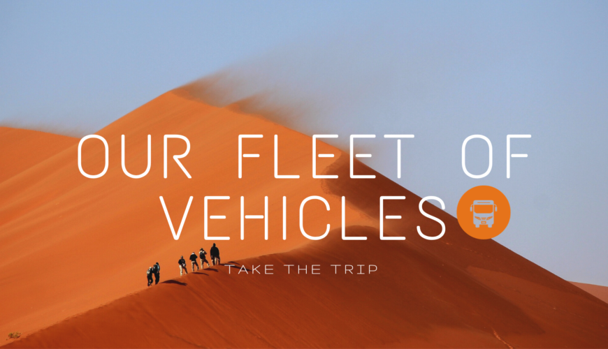Morocco Travel Service