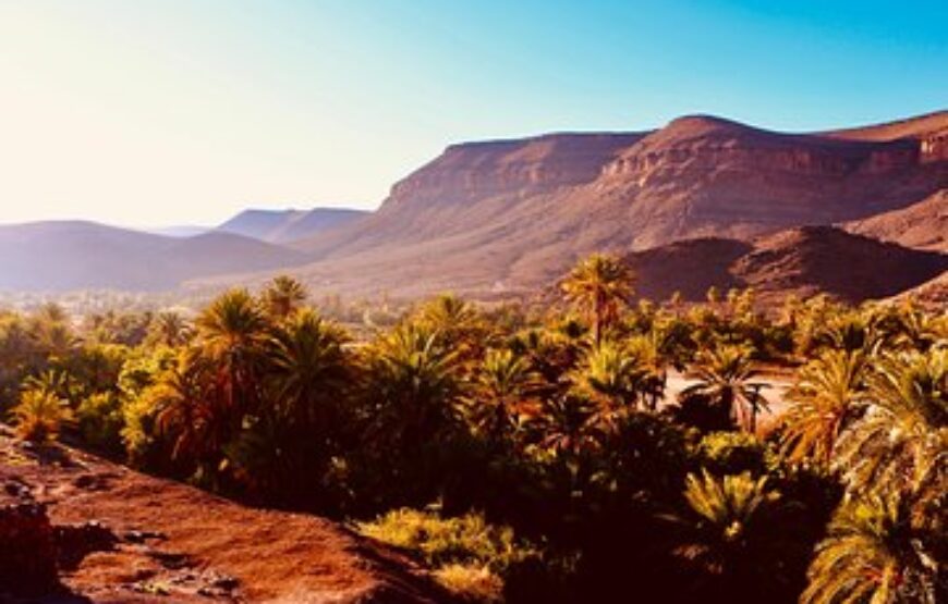 Fint Oasis 1/2 Day Trip