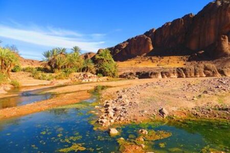 Morocco Travel Service