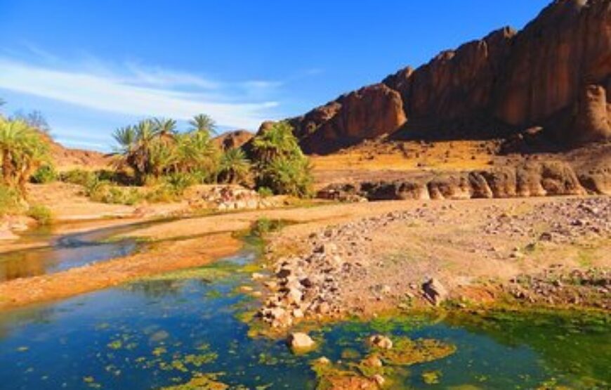 Fint Oasis 1/2 Day Trip