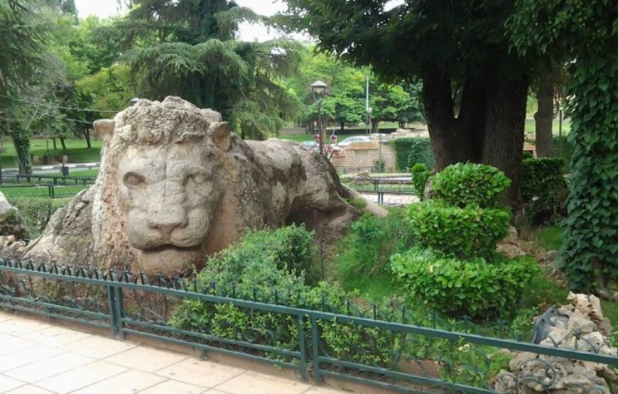 Day Trip from Fes to Ifrane & Cedar Forest