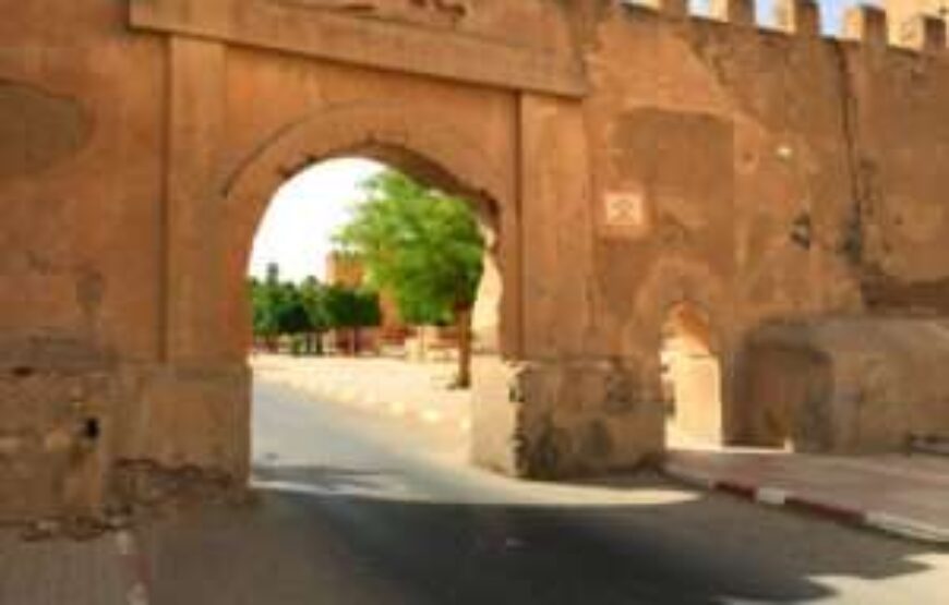Taroudant & Tiout Day Trip