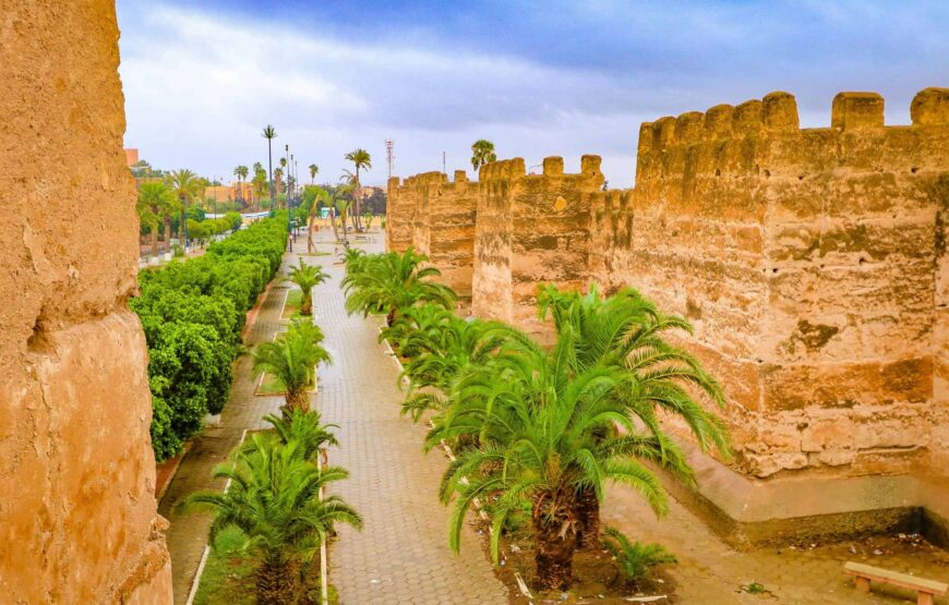 Taroudant & Tiout Day Trip