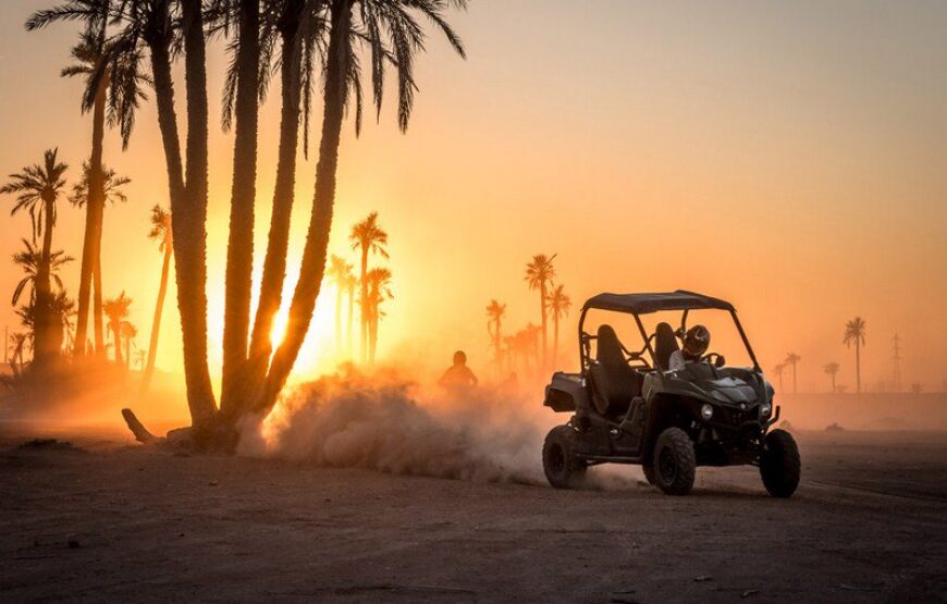 Quad Biking Experience in Marrakech
